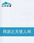 网游之天使人间