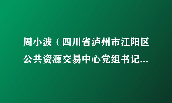 周小波（四川省泸州市江阳区公共资源交易中心党组书记、主任）