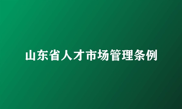 山东省人才市场管理条例