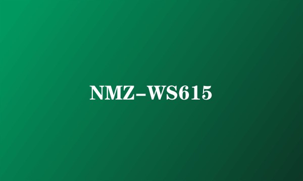 NMZ-WS615