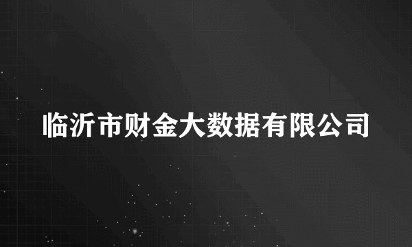 临沂市财金大数据有限公司