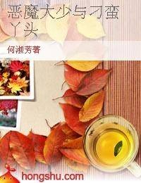 恶魔大少与刁蛮丫头