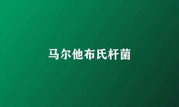 马尔他布氏杆菌