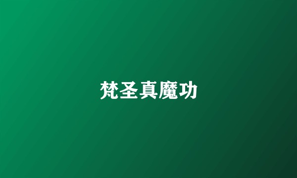 梵圣真魔功
