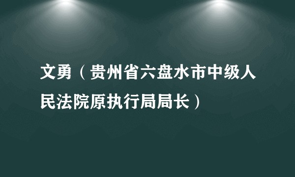 文勇（贵州省六盘水市中级人民法院原执行局局长）