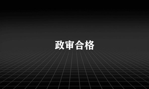 政审合格