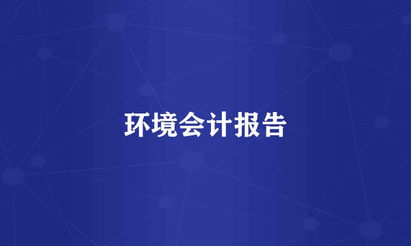 环境会计报告