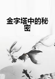 金字塔中的秘密