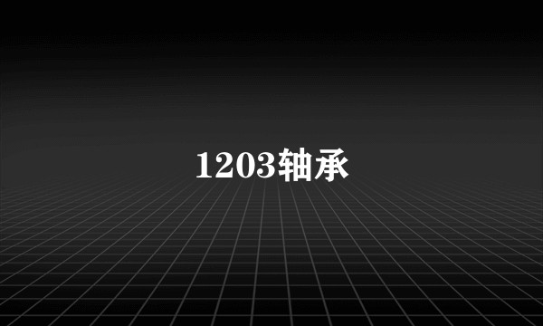 1203轴承