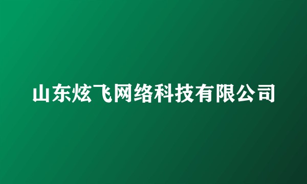 山东炫飞网络科技有限公司