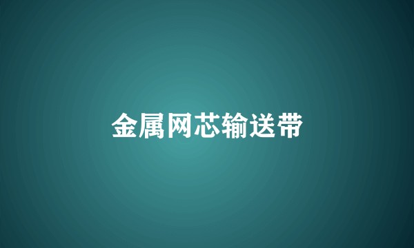 金属网芯输送带