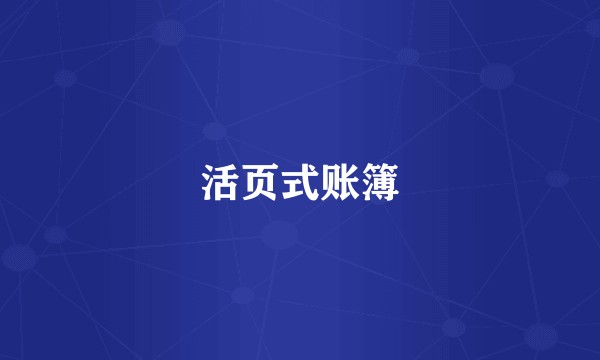 活页式账簿