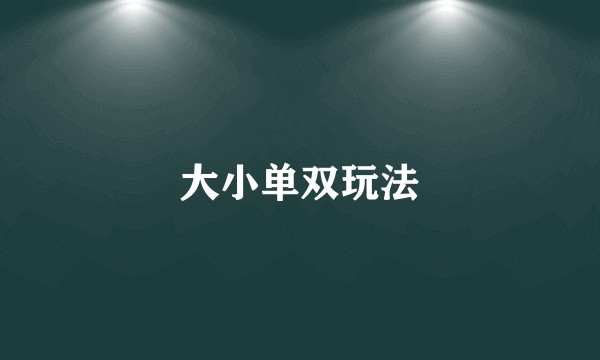 大小单双玩法