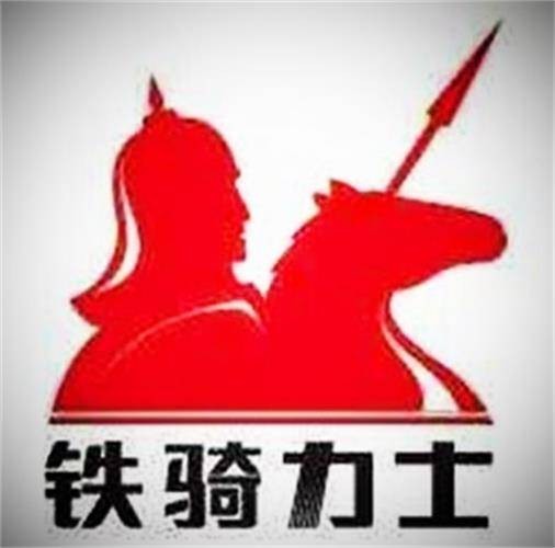 铁骑力士集团