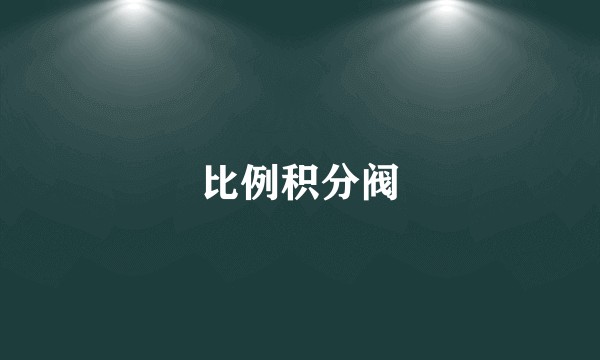 比例积分阀