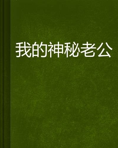 我的神秘老公（起点小说）
