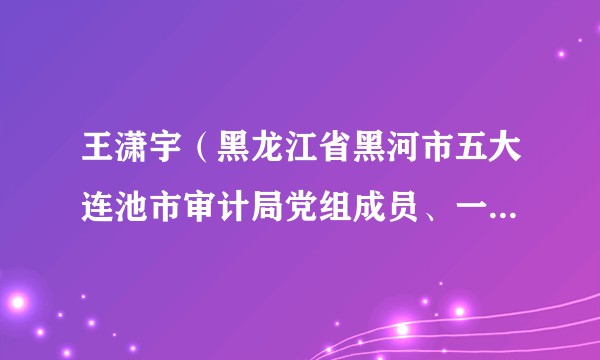 王潇宇（黑龙江省黑河市五大连池市审计局党组成员、一级主任科员）