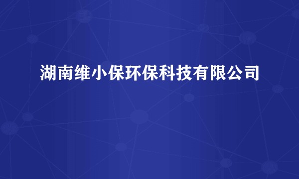 湖南维小保环保科技有限公司