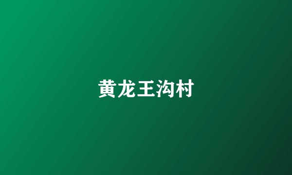 黄龙王沟村