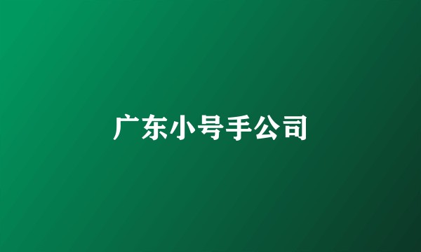 广东小号手公司