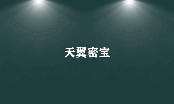 天翼密宝