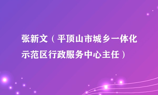 张新文（平顶山市城乡一体化示范区行政服务中心主任）