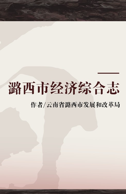 潞西市经济综合志