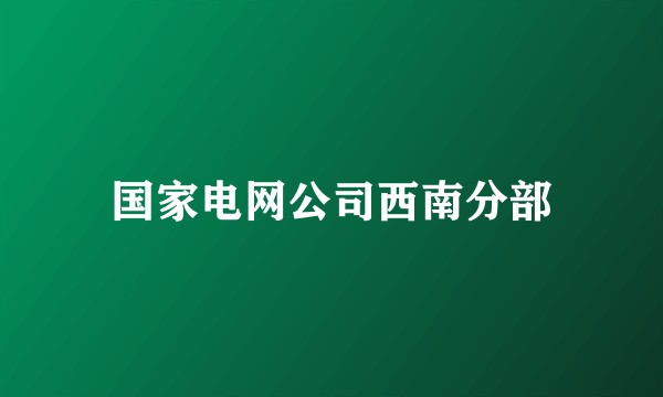 国家电网公司西南分部