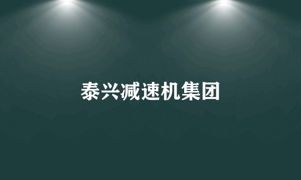 泰兴减速机集团