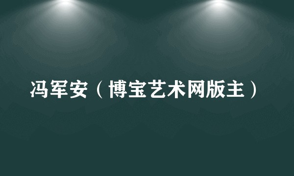冯军安（博宝艺术网版主）