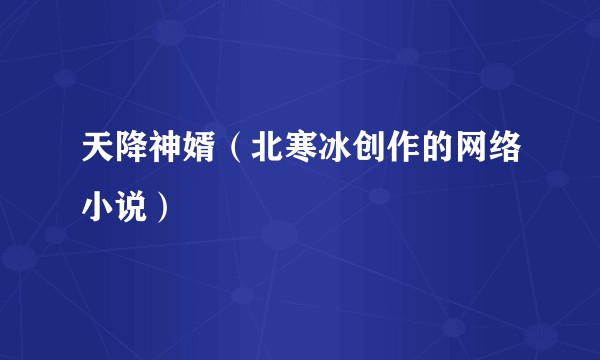 天降神婿（北寒冰创作的网络小说）