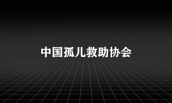 中国孤儿救助协会