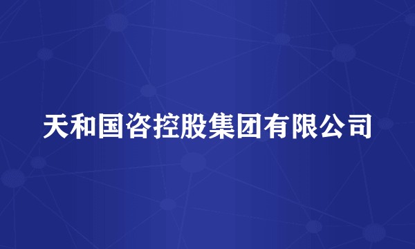 天和国咨控股集团有限公司