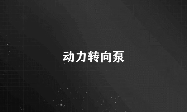动力转向泵