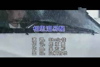 相思泪易醒