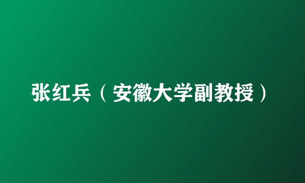 张红兵（安徽大学副教授）
