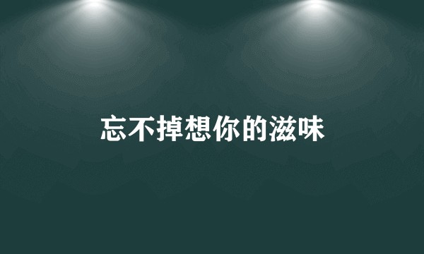 忘不掉想你的滋味