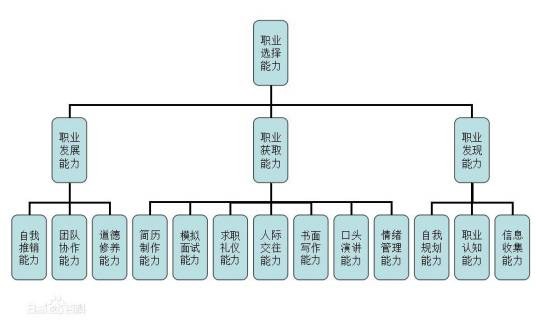 职业选择能力