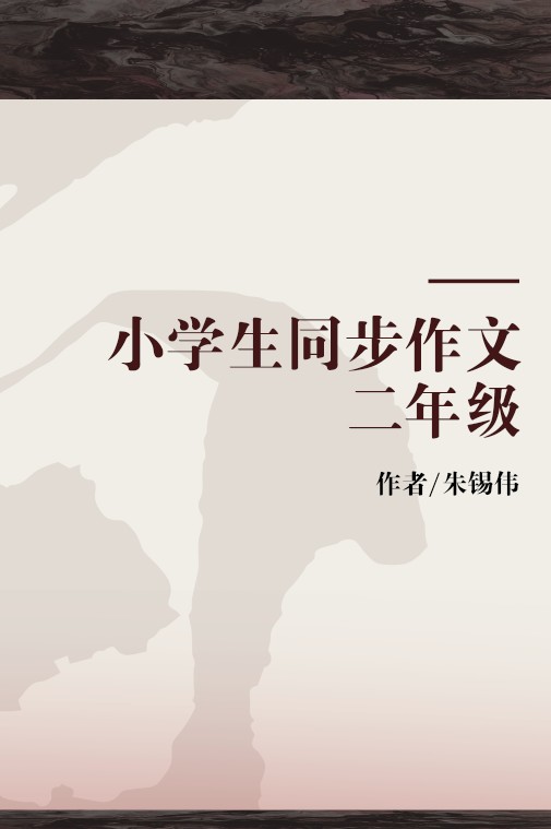 小学生同步作文二年级