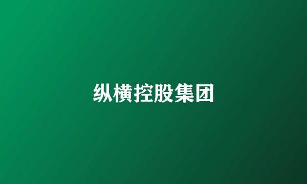 纵横控股集团
