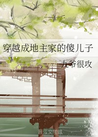 穿越成地主家的傻儿子