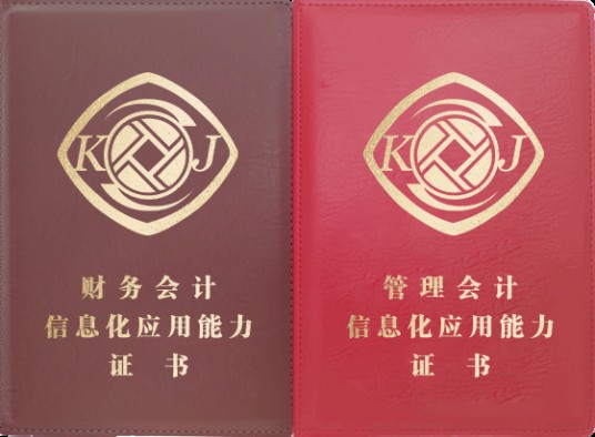 会计信息化证