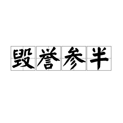 毁誉参半