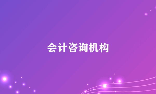 会计咨询机构