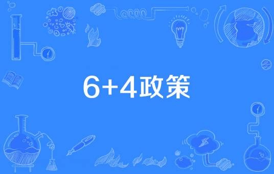 6+4政策