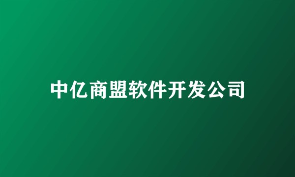 中亿商盟软件开发公司