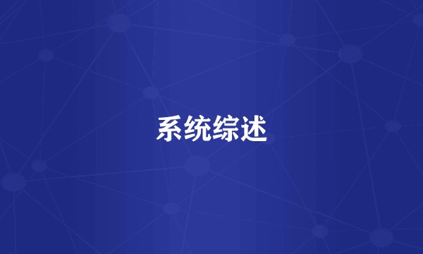 系统综述