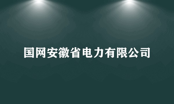 国网安徽省电力有限公司