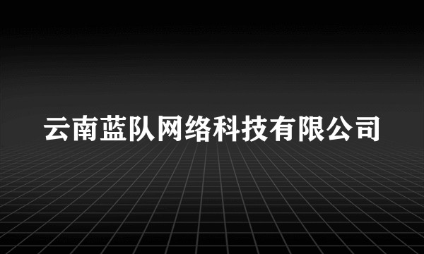云南蓝队网络科技有限公司