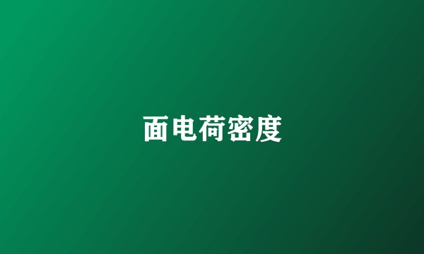 面电荷密度